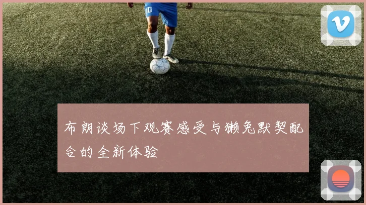 布朗谈场下观赛感受与獭兔默契配合的全新体验