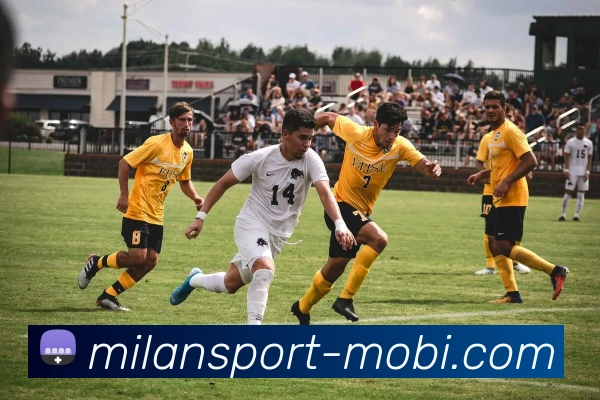 多媒体互动体验